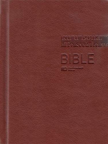 Bible 1293 hnědá