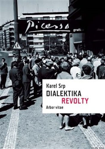 Dialektika revolty