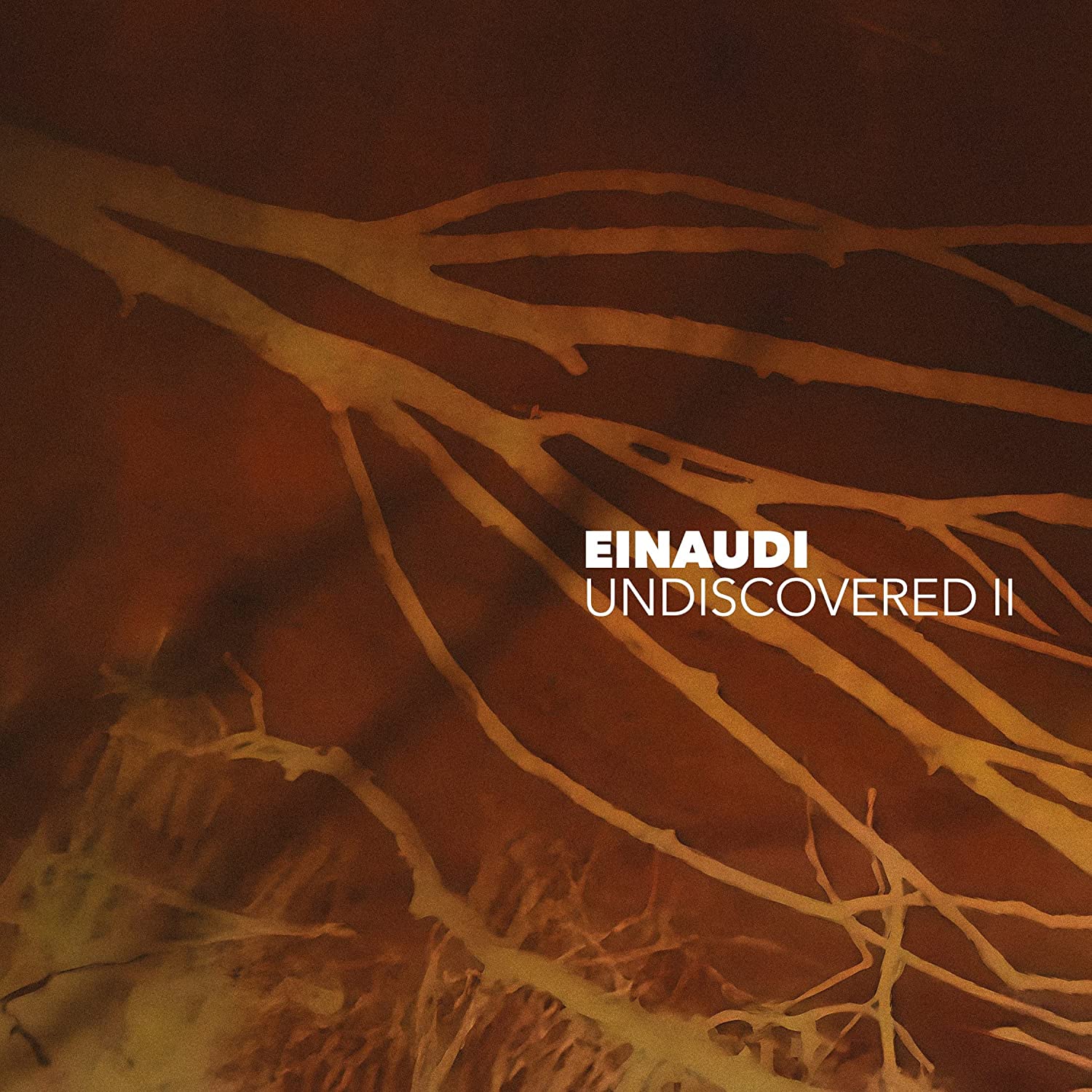 Ludovico Einaudi: Undiscovered Vol. 2 LP