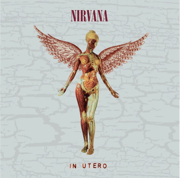 Nirvana: In Utero / 30th Anniversary / Deluxe