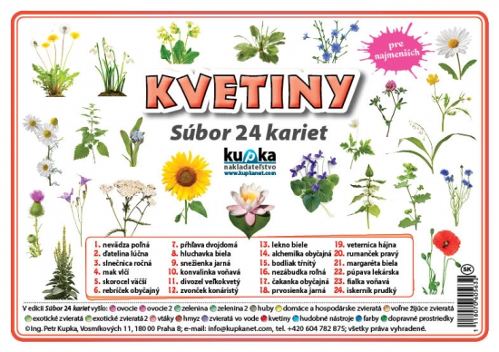 Súbor 24 kariet - kvetiny