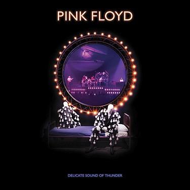 Pink Floyd: Delicate Sound Of Thunder - 2 CD