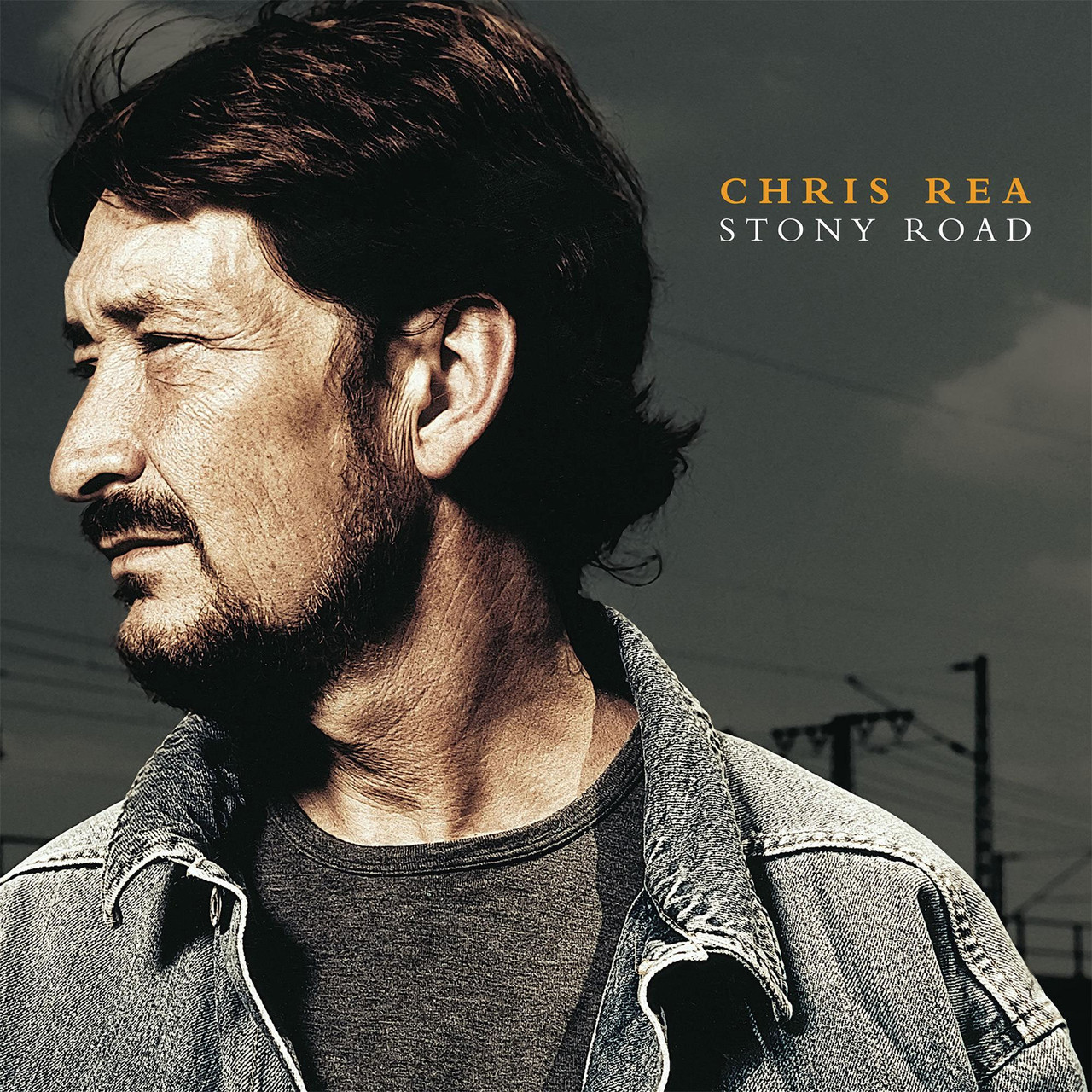 Chris Rea: Stony Road (Orange Vinyl) LP