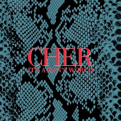 Cher: It´s A Man´s World