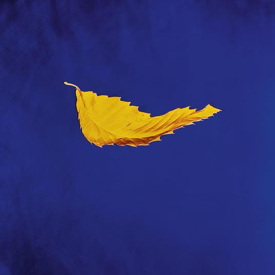 New Order: True Faith Remix (2023 Remaster) LP