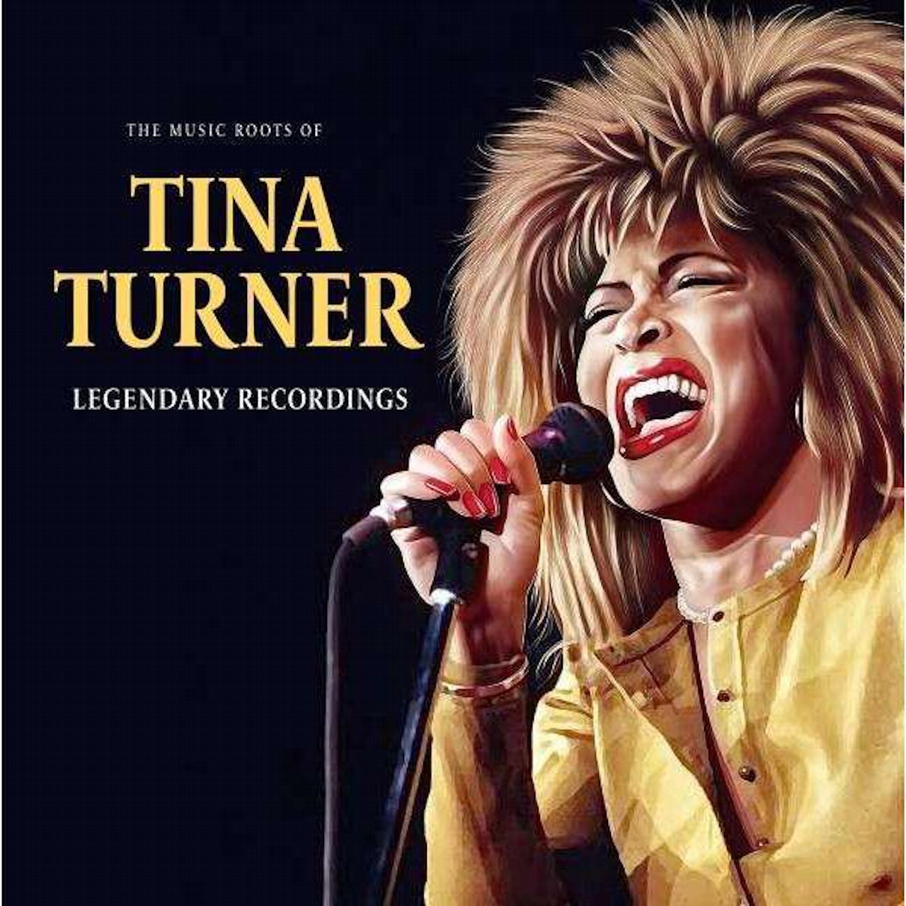 Tina Turner: The Music Roots Of LP