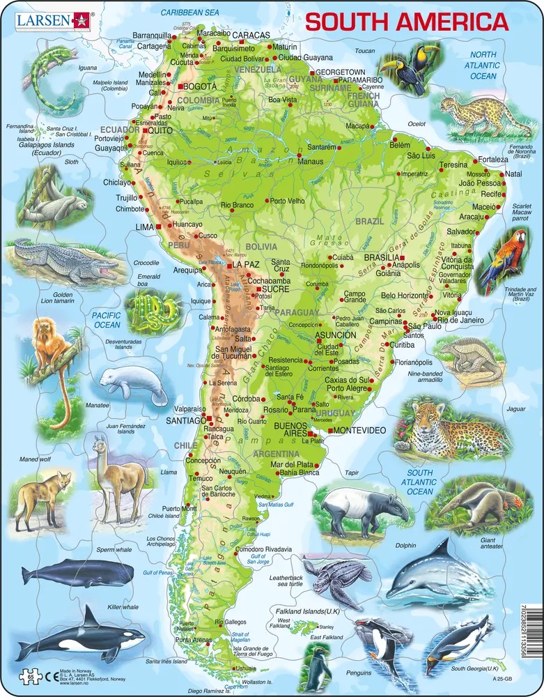Larsen Puzzle - South America : A25-GB