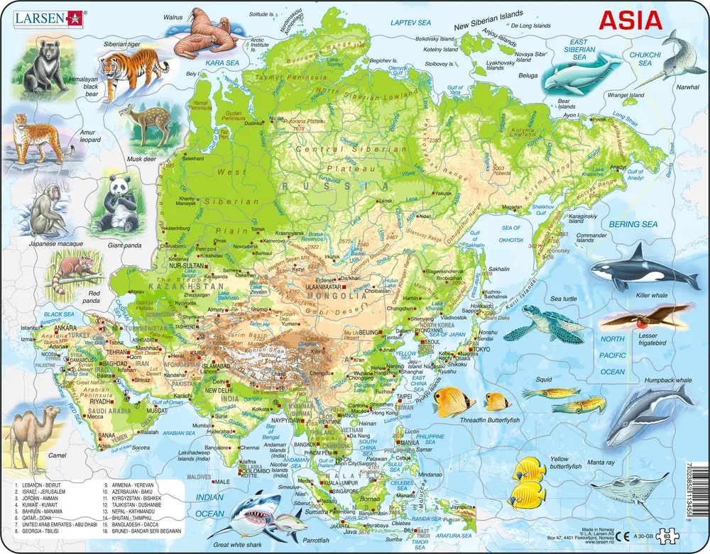 Larsen Puzzle - Asia : A30-GB