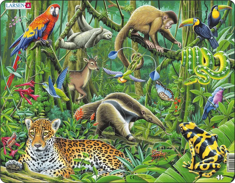 Larsen Puzzle - Južná Amerika zvieratá : FH10
