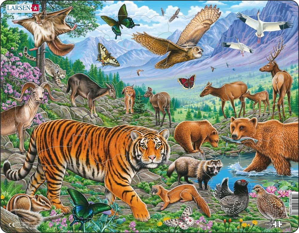 Puzzle Tygr amurský