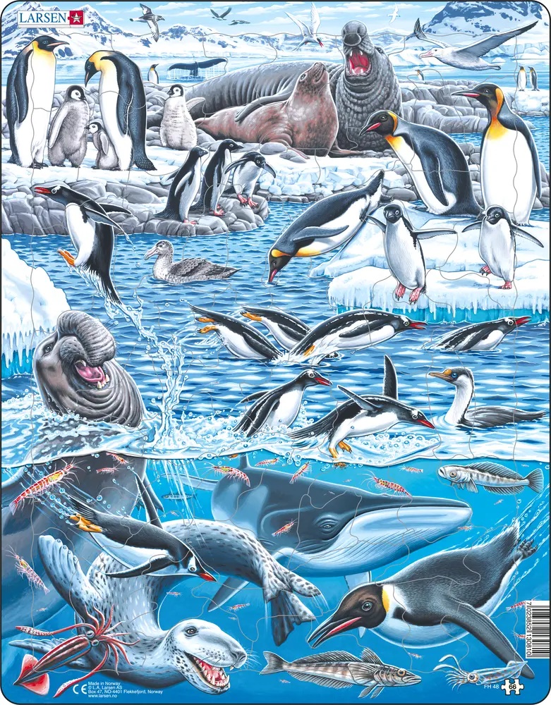 Larsen Puzzle - Studená a krásna Antarktída : FH48