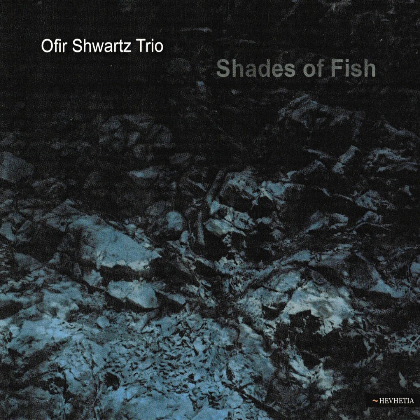 Shwartz Ofir Trio: Shades Of Fish