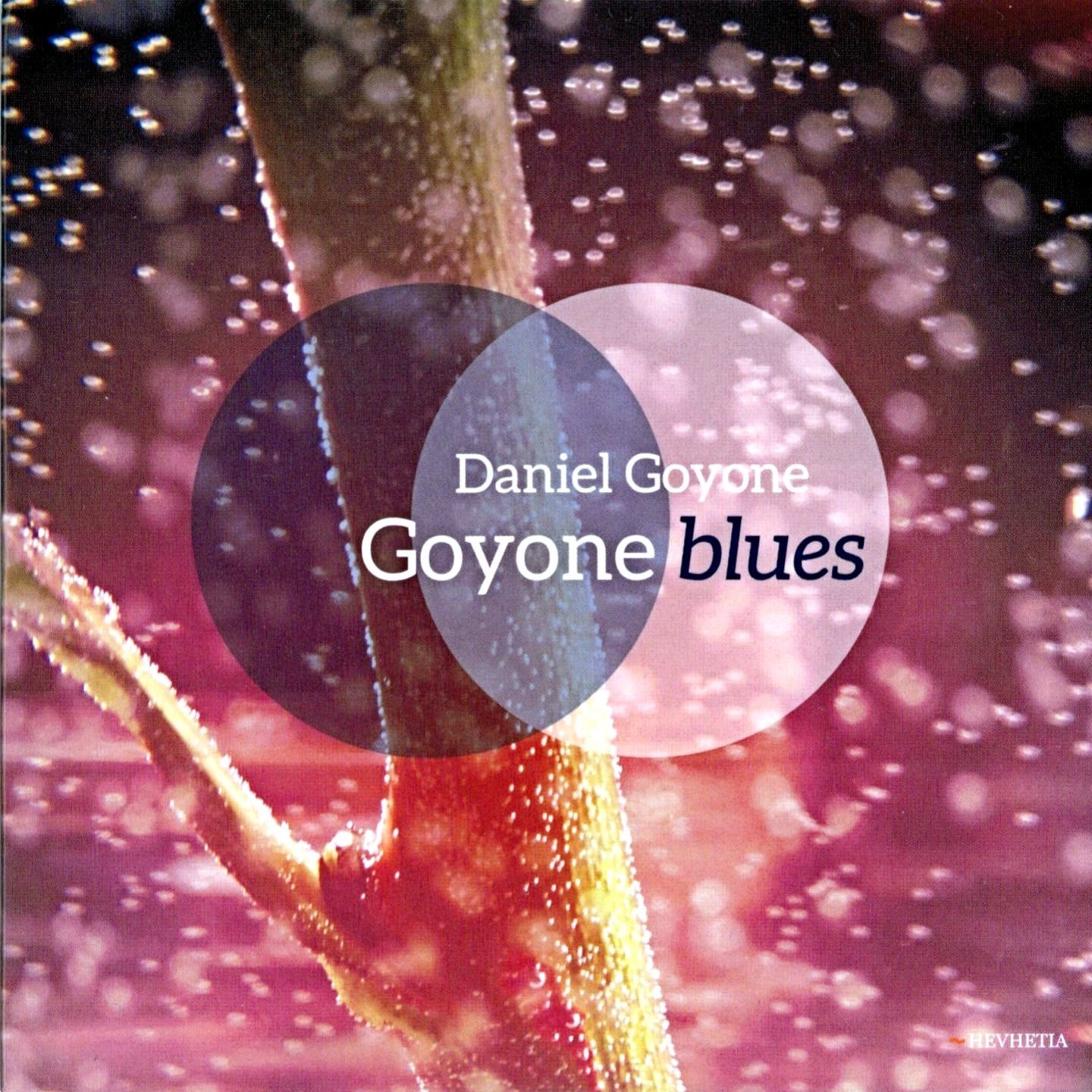 Goyone Daniel: Goyone Blues