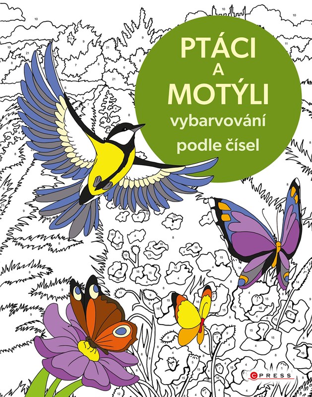 Vybarvování podle čísel: Ptáci a motýli