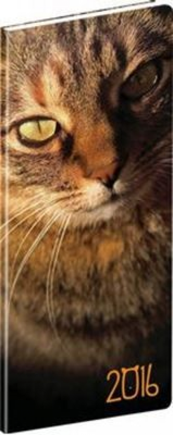 Diář 2016 - Kočky - kapesní plánovací měsíční, 8 x 18 cm