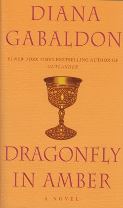 Dragonfly in Amber