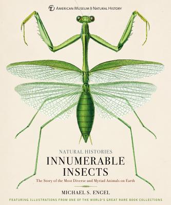 Innumerable Insects : The Story of the Most Diverse and Myriad Animals on Earth