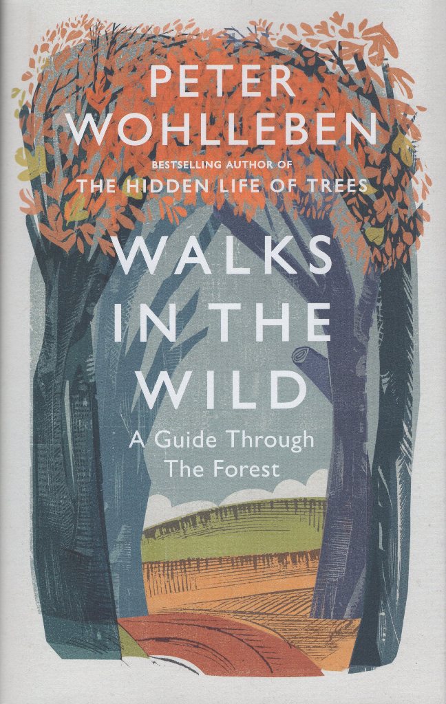 Walks in the Wild : A guide through the forest with