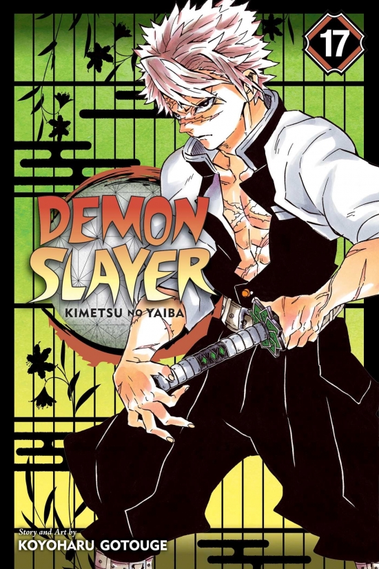 Demon Slayer: Kimetsu no Yaiba 17