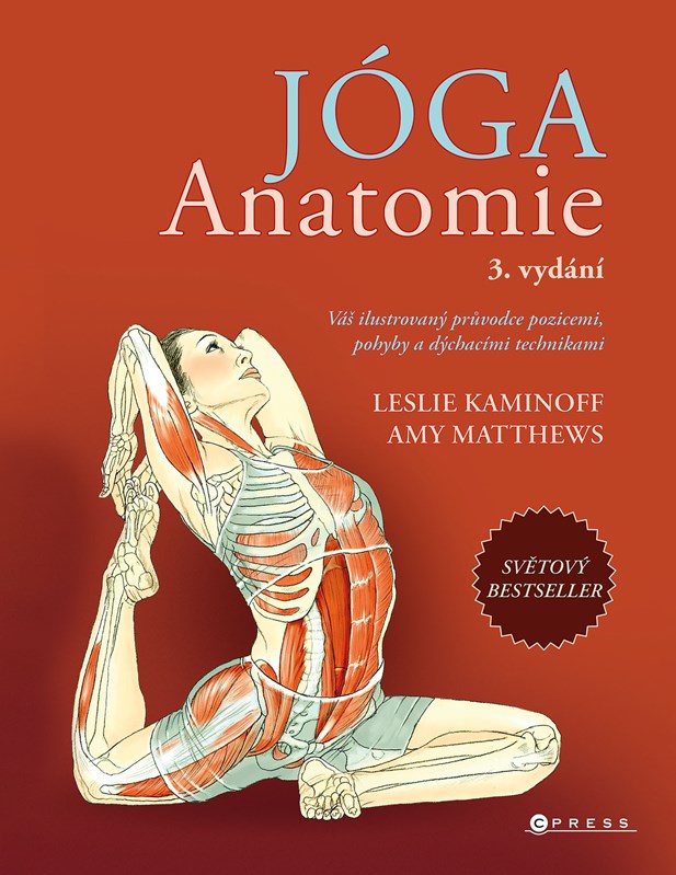 Jóga Anatomie