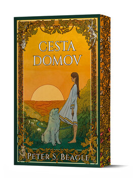 Cesta domov