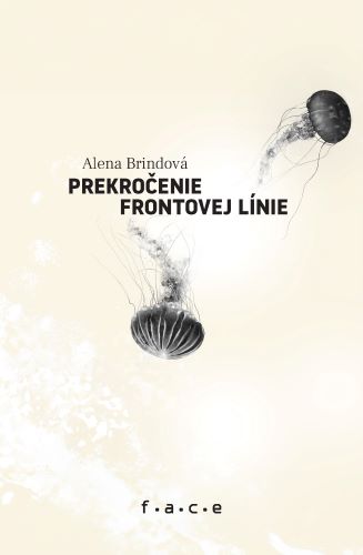 Prekročenie frontovej línie