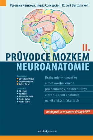 Průvodce mozkem – Neuroanatomie II.