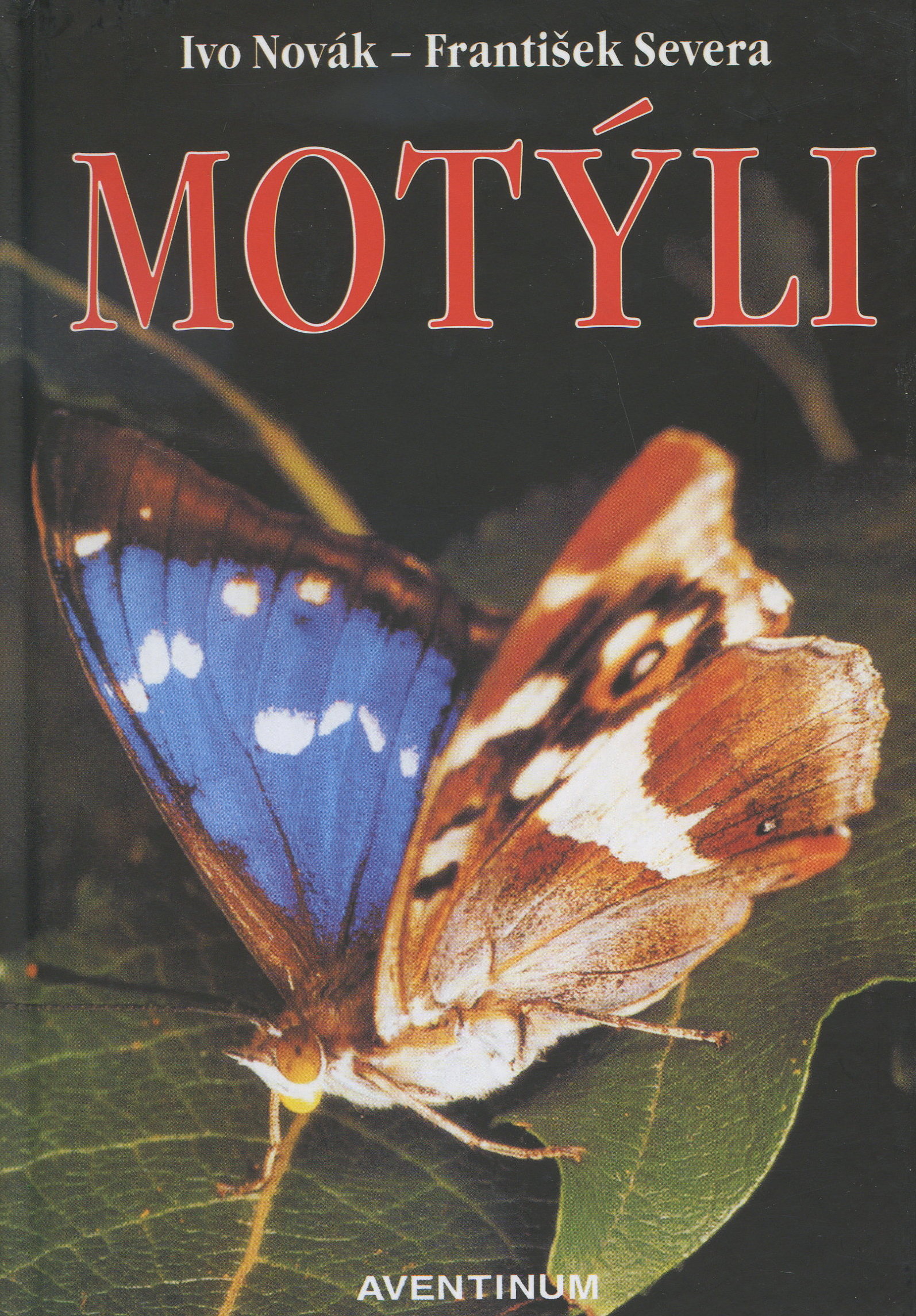 Motýli (2.vydanie)
