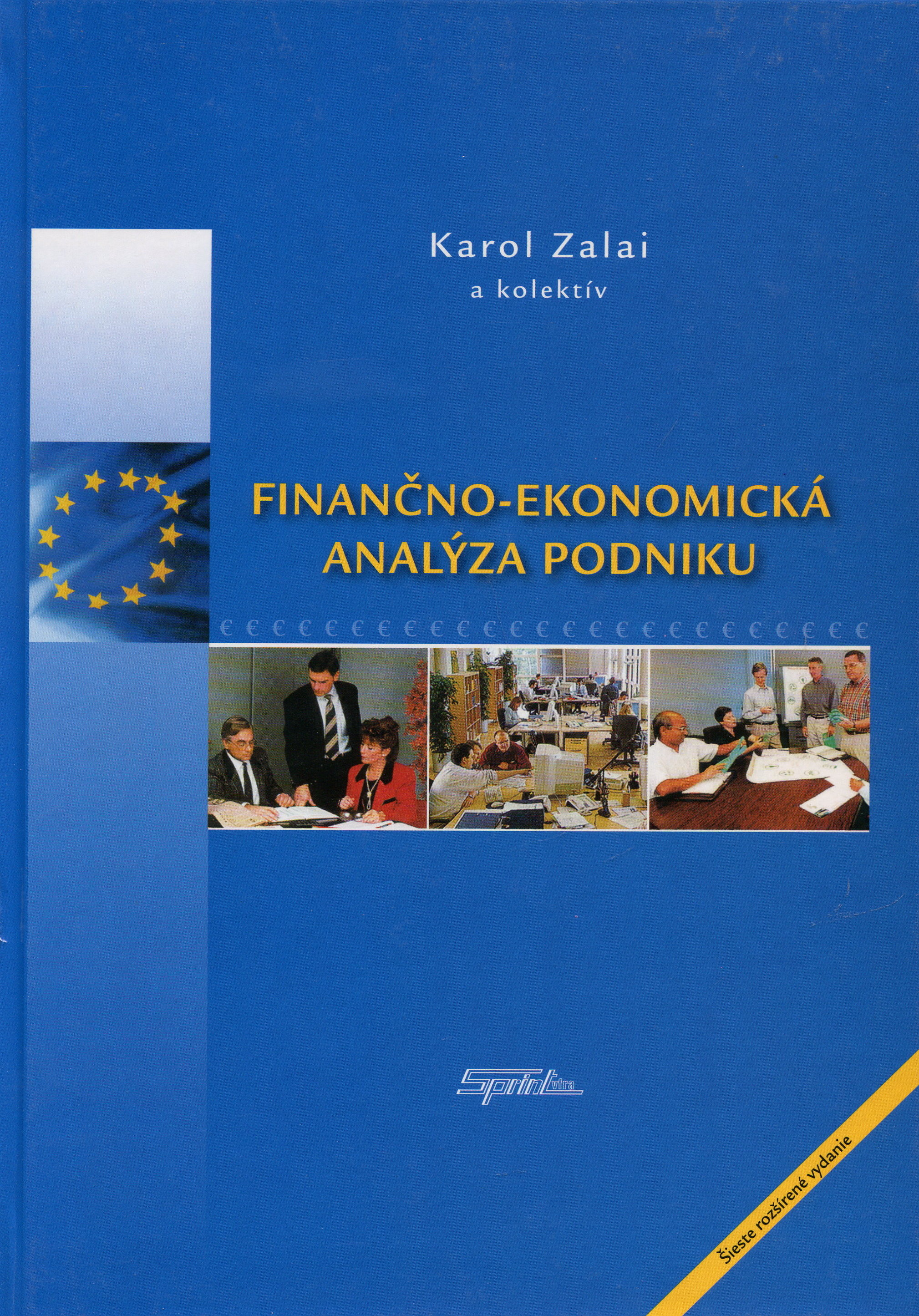 Finančno-ekonomická analýza podniku