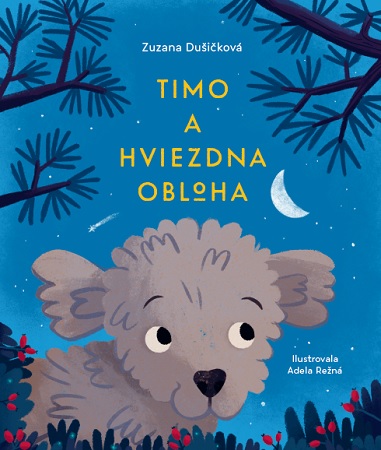 Timo a hviezdna obloha