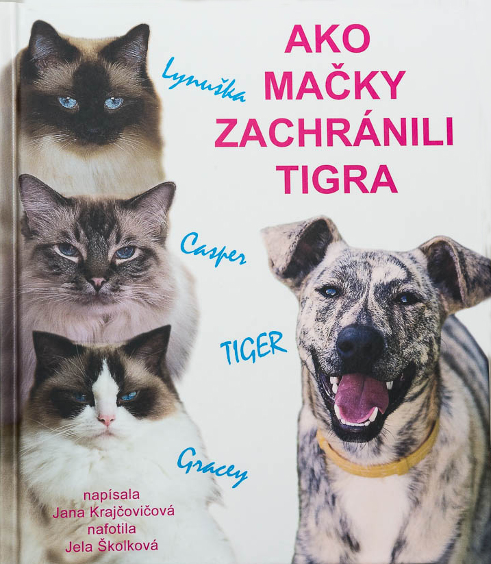 Ako mačky zachránili tigra