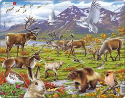 Larsen Puzzle - Arktická krajina - FH14